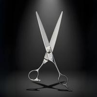 Juntetsu Mastersmith Cobalt scissors product image