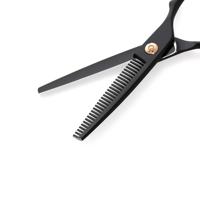 Ichiro Ash Gold cutting and thinning scissor set