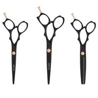 Ichiro Ash Gold three-scissor set