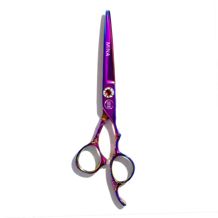 Catalogue photo of the Mina Rainbow II cutting scissors