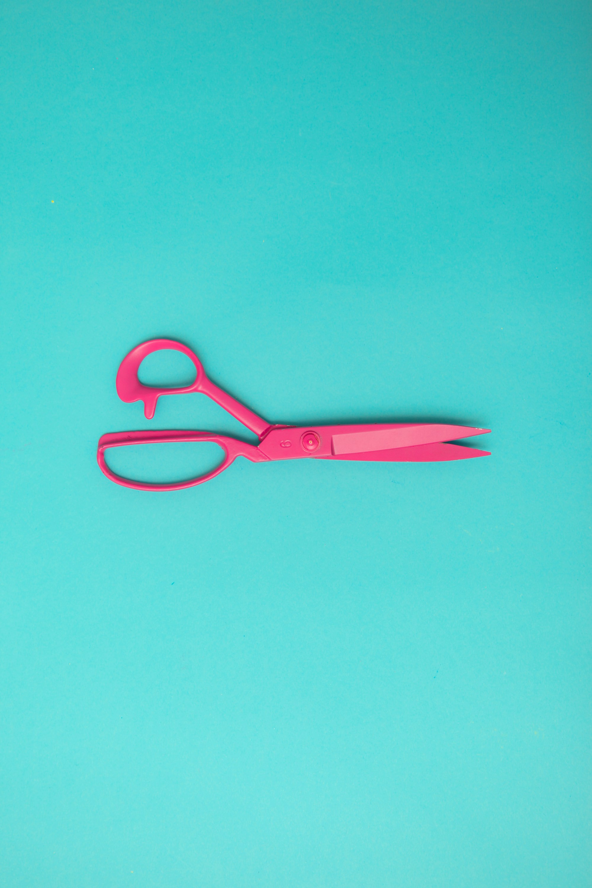 Salon scissors laid out for maintenance next to oil and microfiber cloth