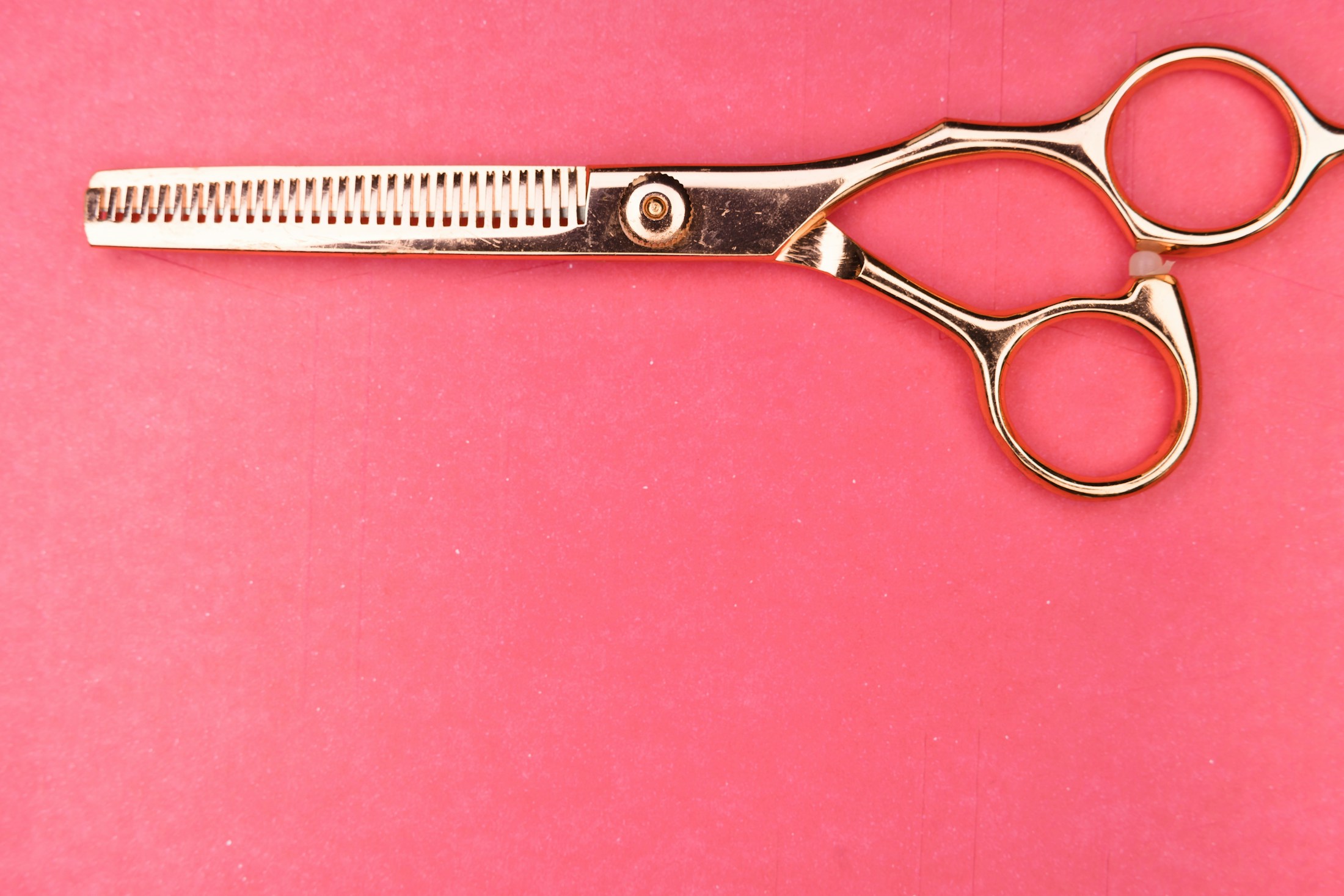 Mina entry-level scissors with rose accents and styling tools