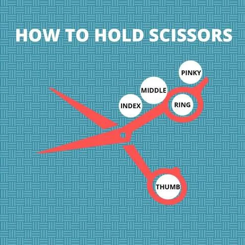 The best grip and way of holding hair scissors