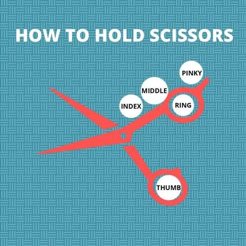 Guide to choosing hairdressing scissors